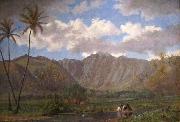 Enoch Wood Perry, Jr. Manoa Valley from Waikiki oil painting picture wholesale